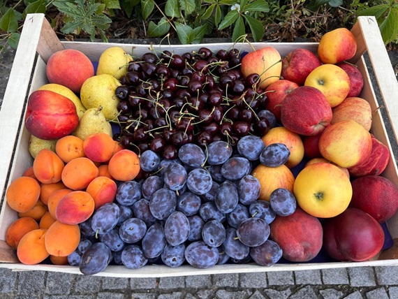 Obstkrob
